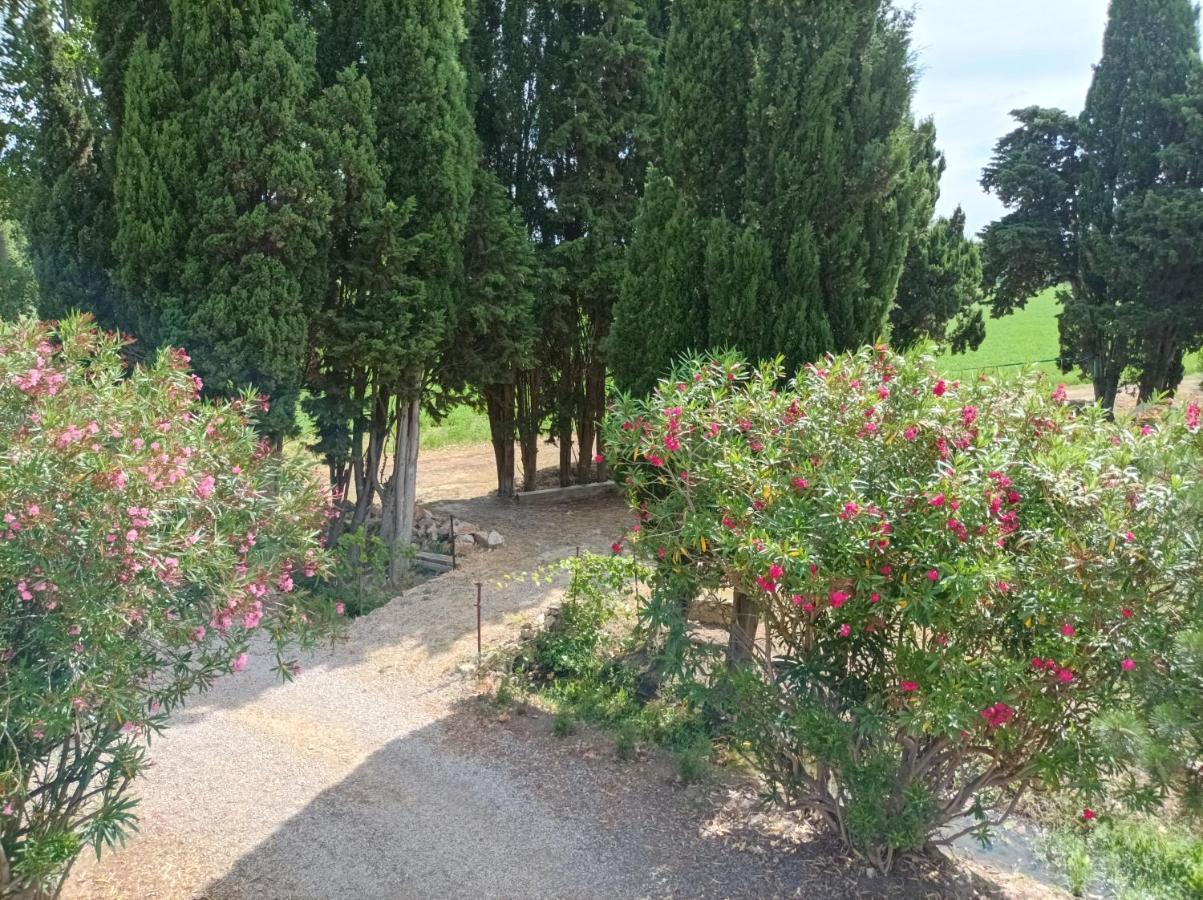 Domaine Le Piboul Villa Fontcouverte  Ngoại thất bức ảnh